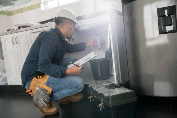 Best Emergency Plumber  in Bonnie Brae, IL