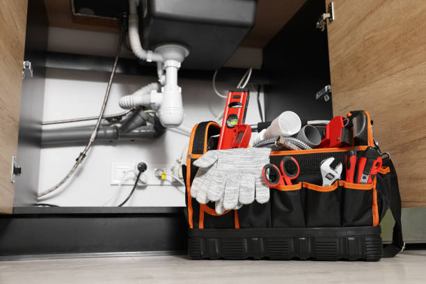 Best Residential Plumbing Services  in Bonnie Brae, IL
