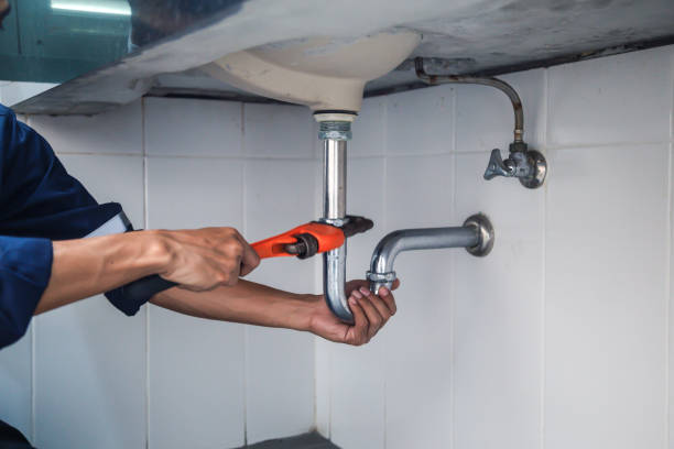 Best Best Plumbers Near Me  in Bonnie Brae, IL
