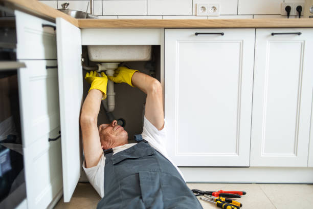 Best Plumbing Inspection Services  in Bonnie Brae, IL